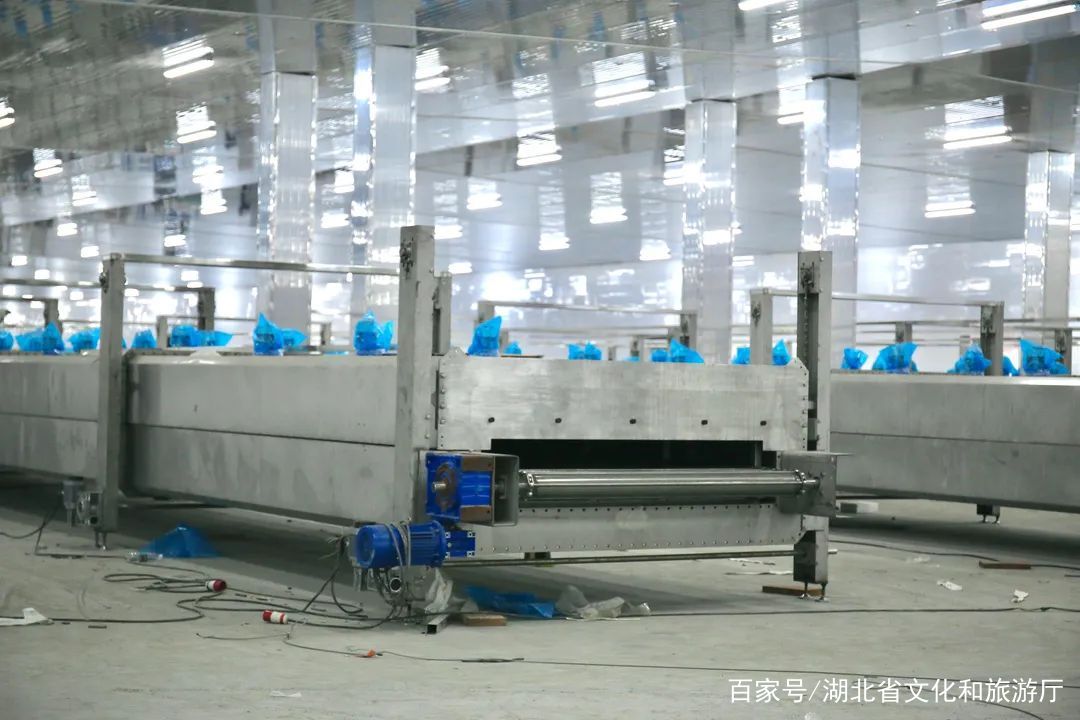 ng电子游戏集团：抓好生长“牛鼻子” 推动项目“虎年红”